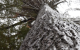 Protecting Natural Environments